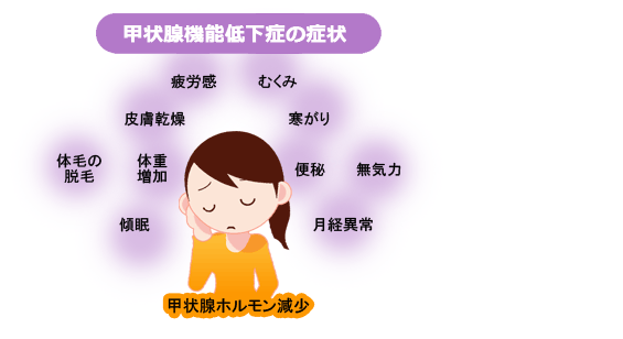 低下 甲状腺 ホルモン 甲状腺機能低下症の原因・症状・治療方法とは？