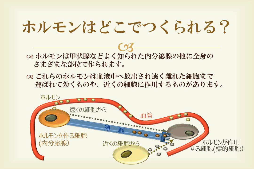 ホルモンはどこでつくられる？